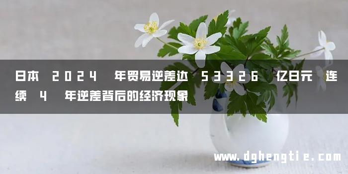 日本 2024 年贸易逆差达 53326 亿日元 连续 4 年逆差背后的经济现象